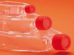 Flasks for tissue cultivation Orange Scientific