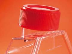 Flasks for tissue cultures Orange Scientific