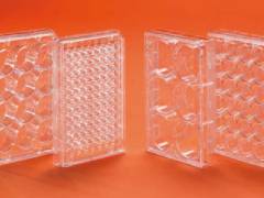 Test plates for tissue cultures Orange Scientific