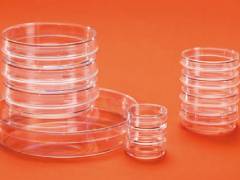 Cups for tissue cultivation Orange Scientific